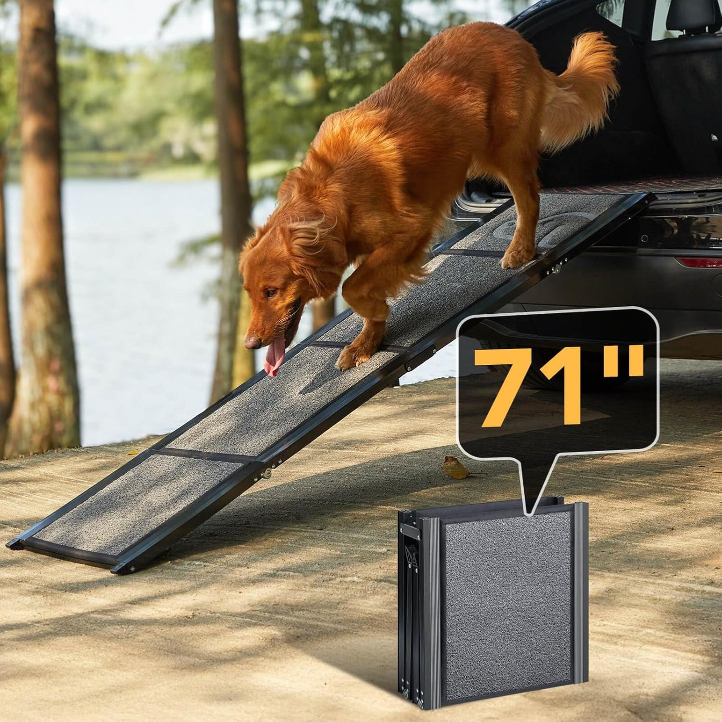 Dog Ramp for Car Longest 71