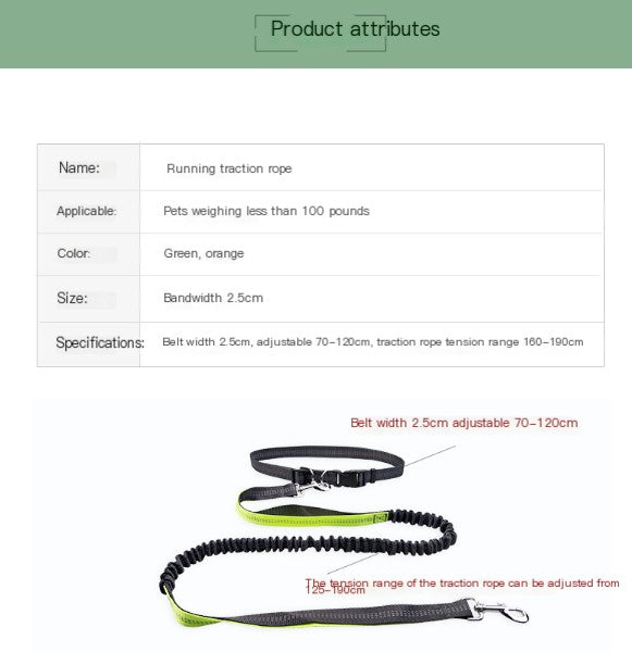 Dog Walking Belt with Detachable Shockproof Leash