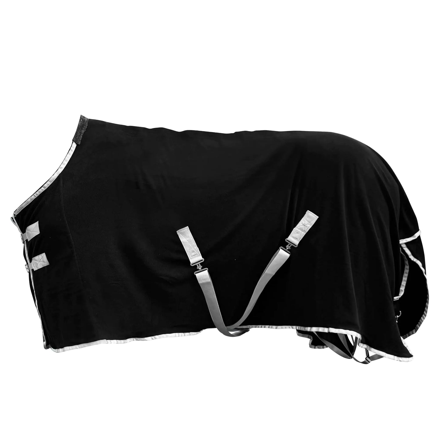 Horse Blanket Winter