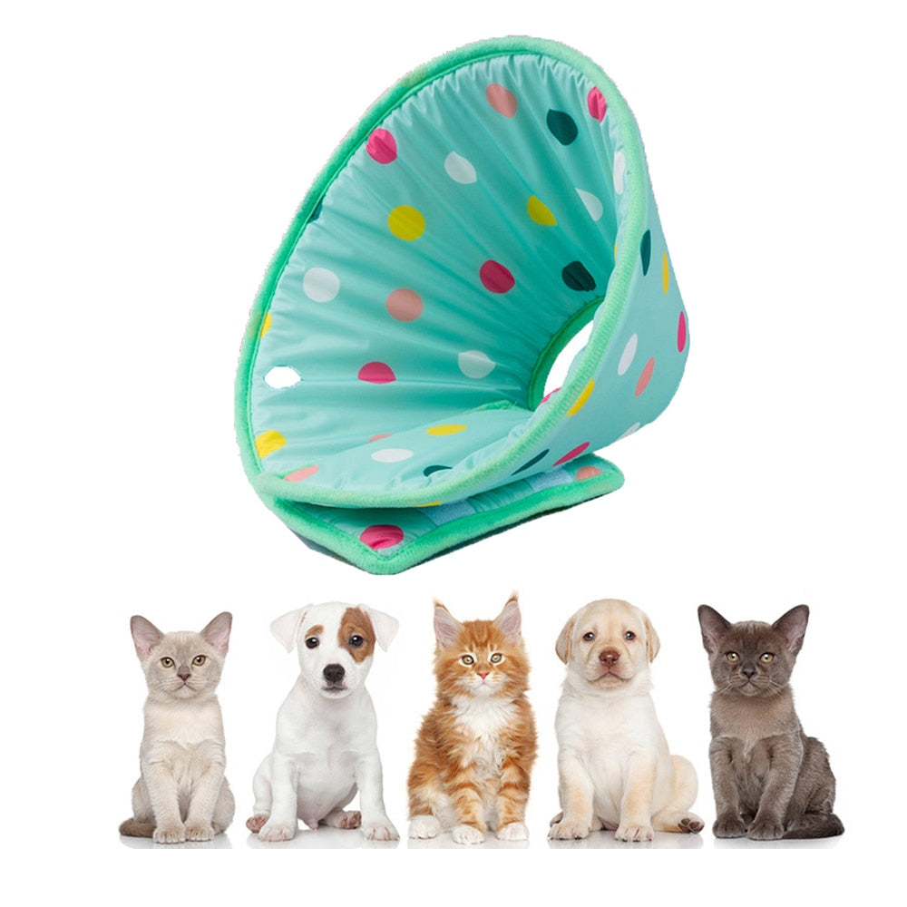 Anti-Lick and Scratch Protection Ring for Pets