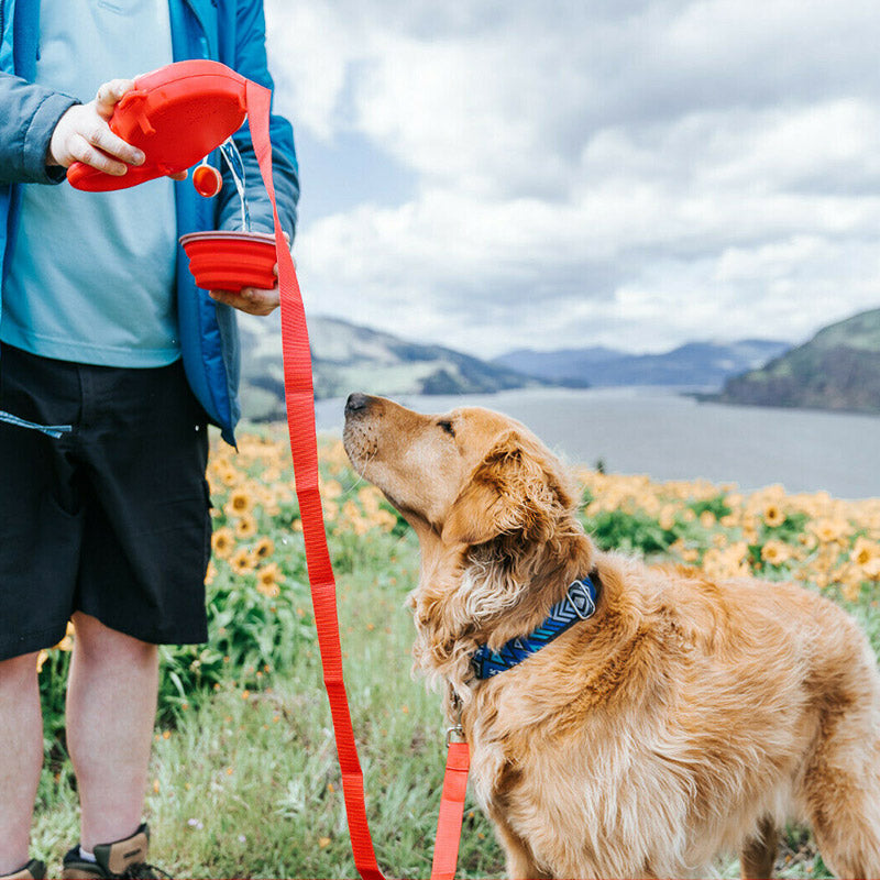 Multifunctional leash with water bottle