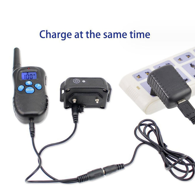 Remote dog training device