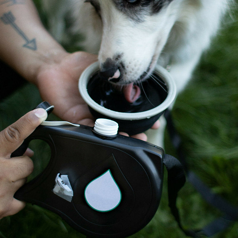 Multifunctional leash with water bottle
