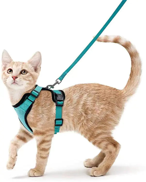 Breathable Chest Strap for Cats