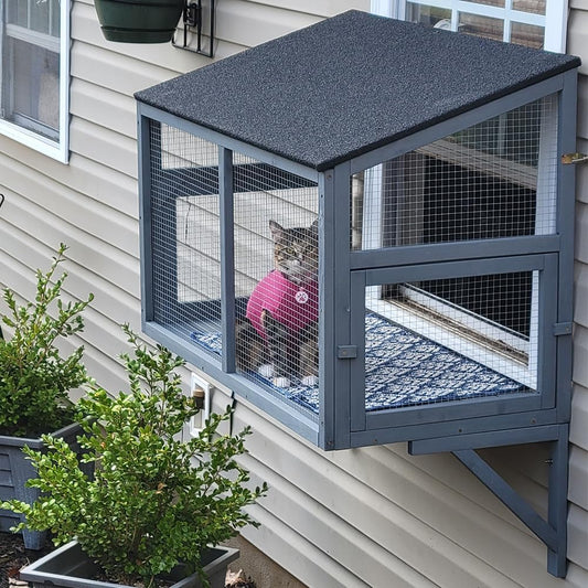 Cat Window Box - Weather Resistant