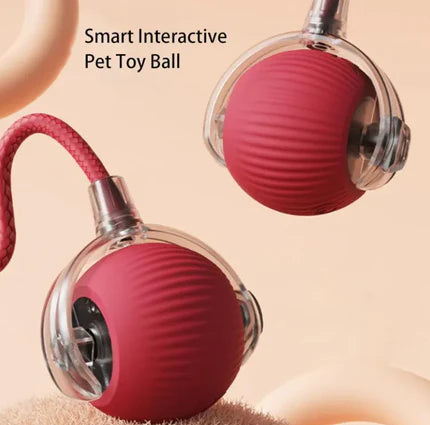 Interactive Cat Ball with Rope