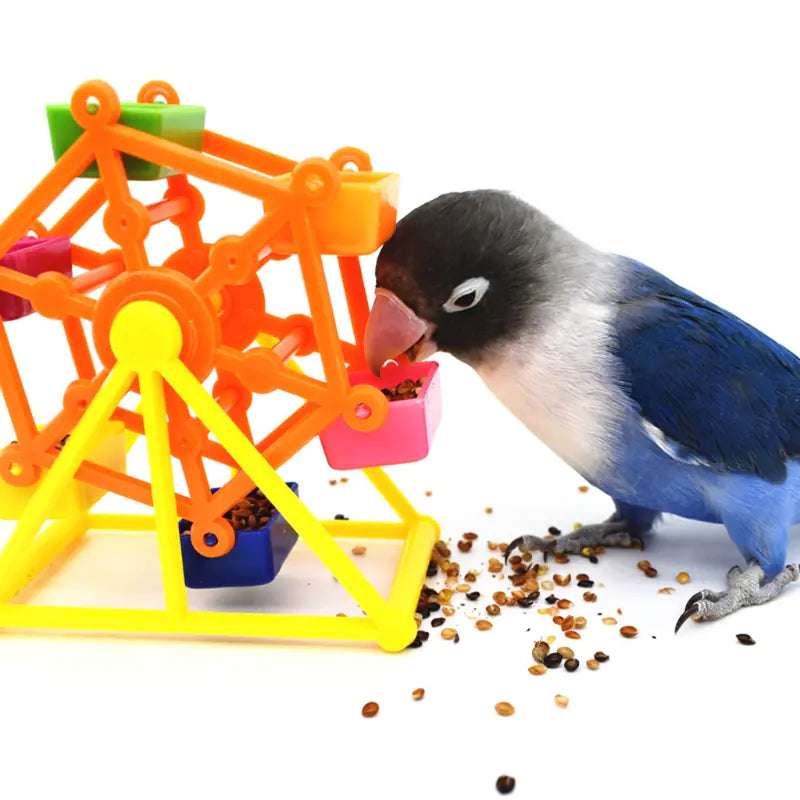 Parrot Toy for Intelligence Growth