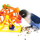Parrot Toy for Intelligence Growth