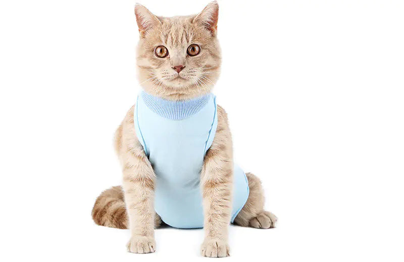 Clothes for Female Cats Post Surgery