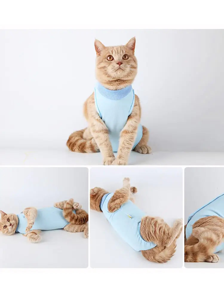 Clothes for Female Cats Post Surgery