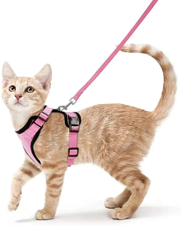 Breathable Chest Strap for Cats
