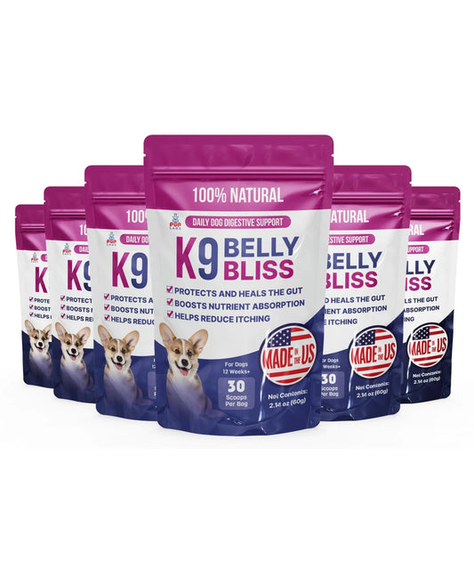 (6 Pack) K9 Belly Bliss – Advanced Digestive Support for Dogs