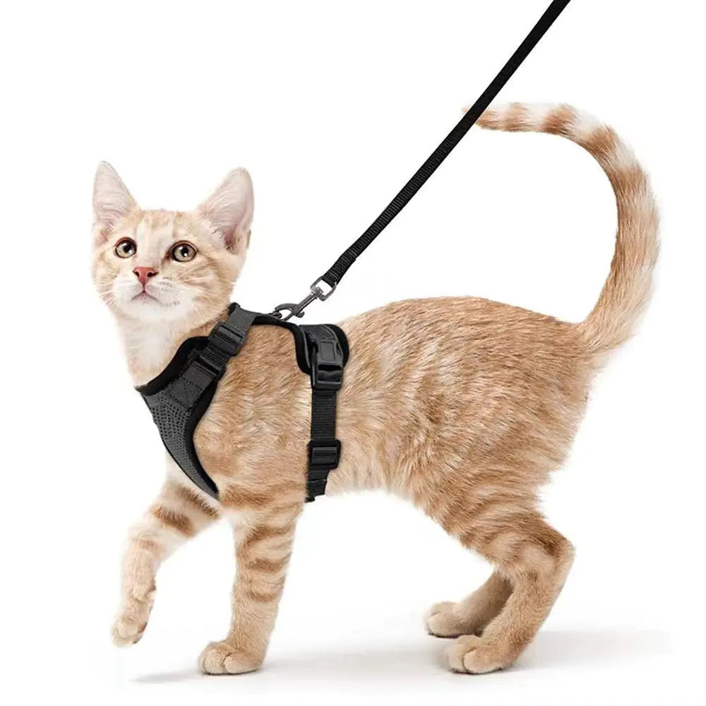 Breathable Chest Strap for Cats