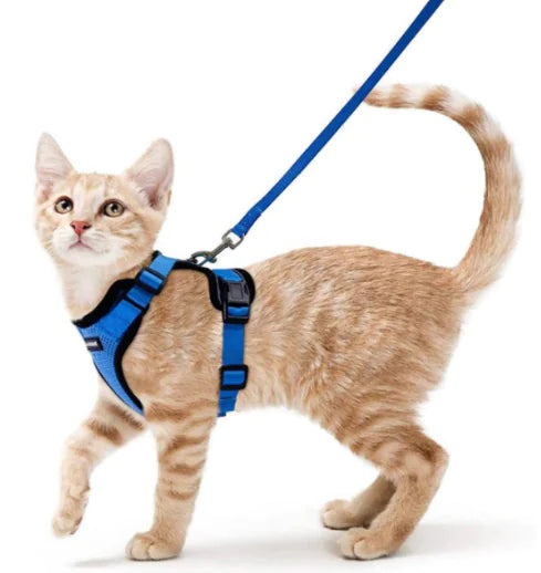 Breathable Chest Strap for Cats