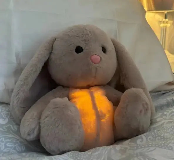 CalmBunny Sensory Toy