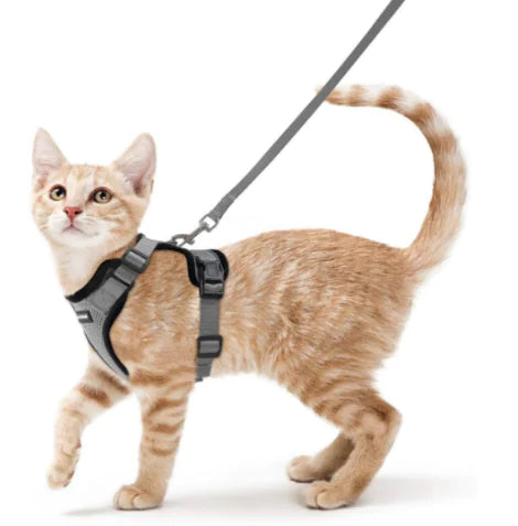 Breathable Chest Strap for Cats