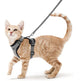 Breathable Chest Strap for Cats