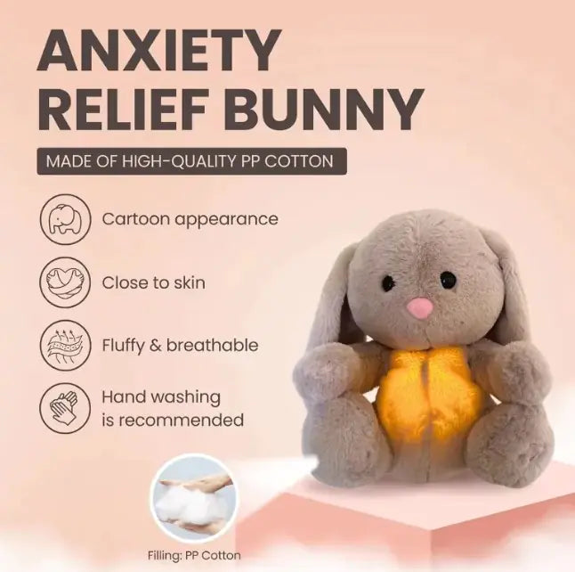 CalmBunny Sensory Toy
