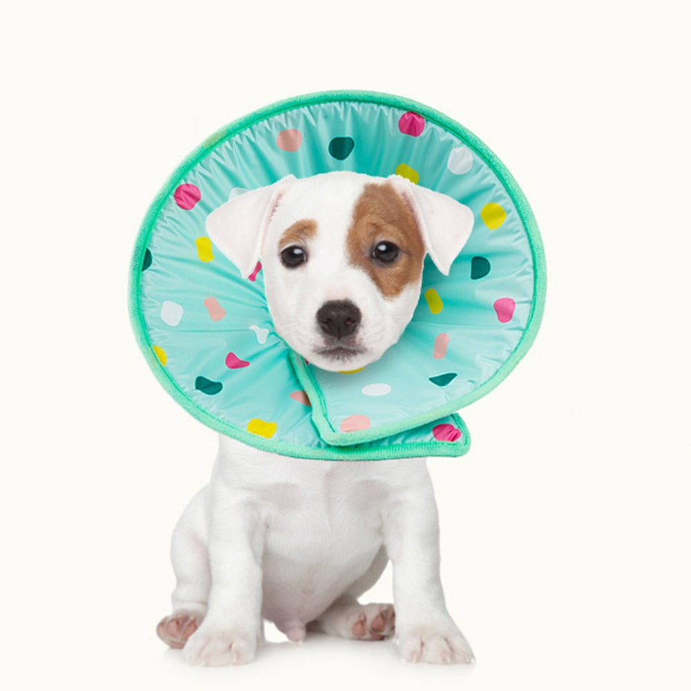 Anti-Lick and Scratch Protection Ring for Pets