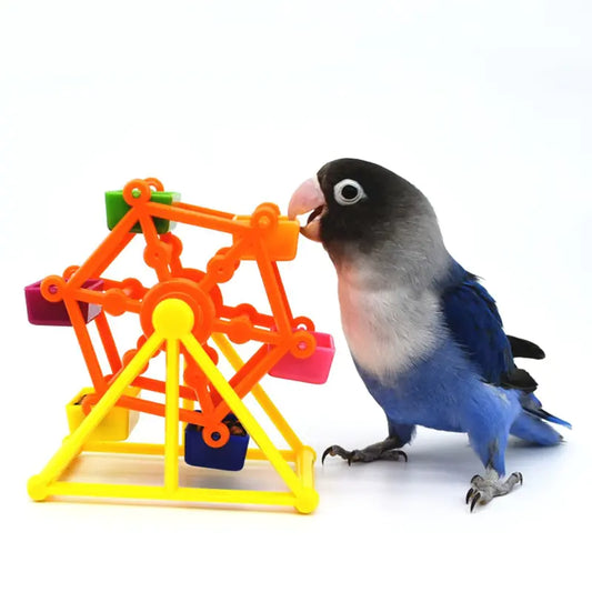 Parrot Toy for Intelligence Growth