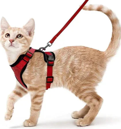 Breathable Chest Strap for Cats