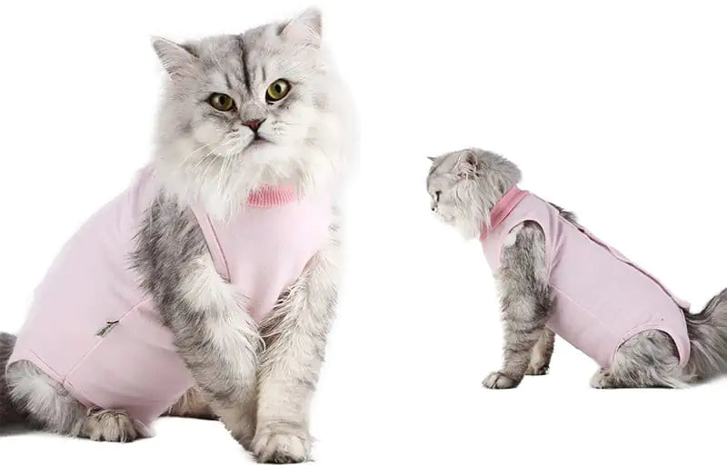 Clothes for Female Cats Post Surgery