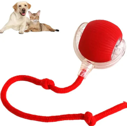 Interactive Cat Ball with Rope