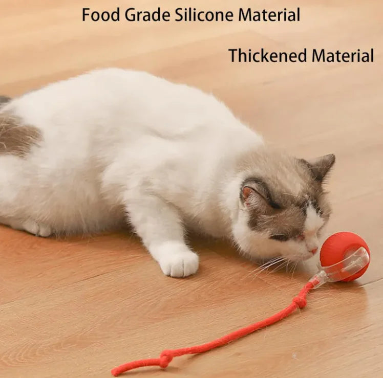 Interactive Cat Ball with Rope