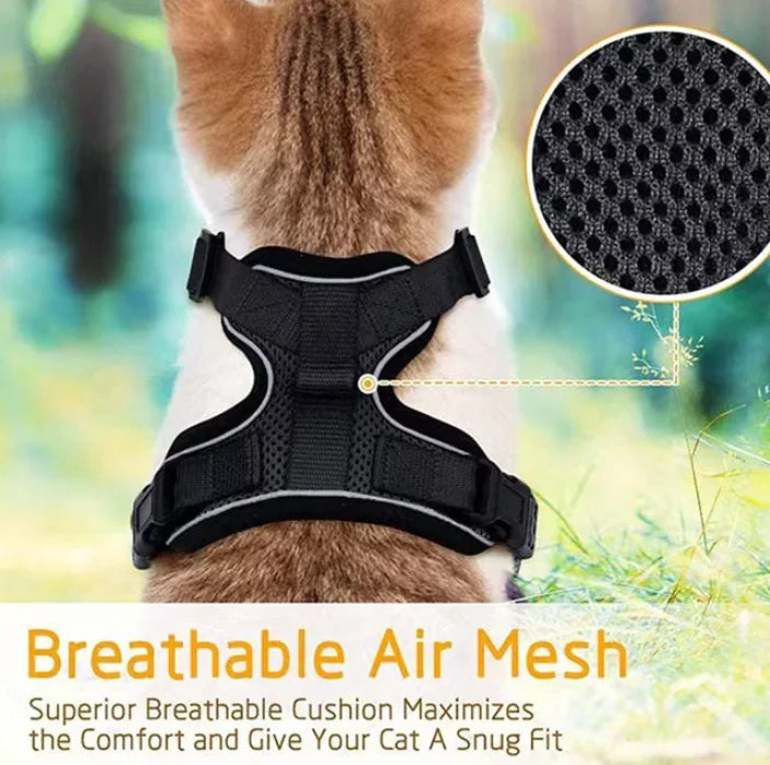 Breathable Chest Strap for Cats