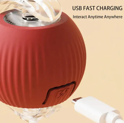 Interactive Cat Ball with Rope