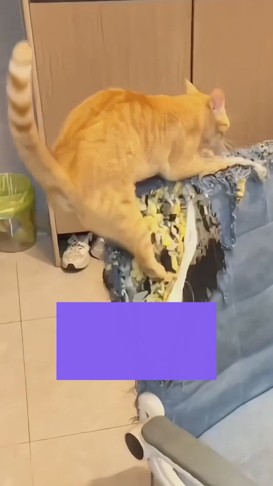 Cat Pheromone Diffuser (48ml x2)