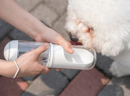 Portable Travel Water Bottle
