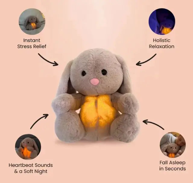 CalmBunny Sensory Toy